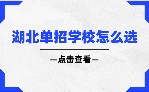 湖北省高职单招学校